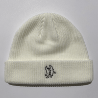 H Logo Beanie [White]